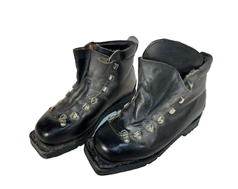 alpina クロスカントリー ブーツ EU39 Alpina Racing Skate | クロス