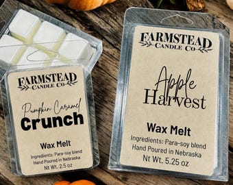 Autumn Scent Wax Melts - fall wax melts- Soy wax melts, fall home fragrance, cozy fall scents, pumpkin scent wax melts-seasonal wax melts