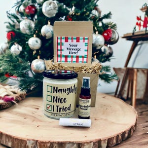 Funny Christmas Gift Box/ Merry Christmas Gift Box/ Funny Coworker Gift/Naughty Nice I Tried/ Funny gift box/ Christmas gift/Sibling gift
