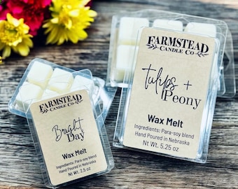 Spring + Summer Scent Wax Melts - Choose Your Scent - wax melts for warmer -Strong and Long Lasting scented soy Wax Melts- snap bar melts
