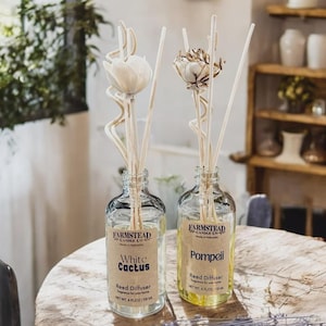 Classic Scent Room Diffuser, Flameless Candle, Wood Reeds, Diffuser, Phthalate Free Diffuser, Non Toxic Reed Diffuser, Choose Your Scent