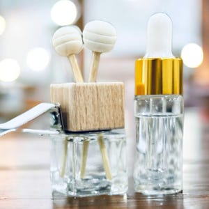 Classic Scent Car Diffuser Vent Clip /Car Perfume/Cute Car Air Freshener/Car Freshies/New Car Gift/ Best Friend Gift/ Stocking Stuffers