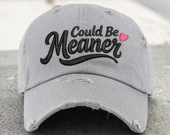 Could Be Meaner Hat, Funny Embroidered Hat, Sassy Trucker Hat, Two Tone Canvas Hat, Sarcastic Hat, Cute Hat, Custom Hat,