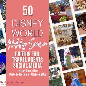 Travel Agent Social Media Posts / WDW Christmas Holiday Stock Photos / Travel Agent IG Reels & Tiktok