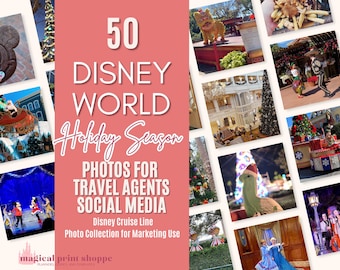 WDW Christmas Stock Photos for Travel Agents (Digital Download)