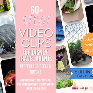 Social Media Video Posts for Travel Agents | 60+ WDW EP Reels & TikTok | Travel Agency Marketing Content