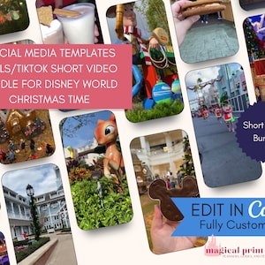 Social Media Video Posts for Travel Agents | 30+ WDW Christmas IG Reels & TikTok | Travel Agency Marketing Content