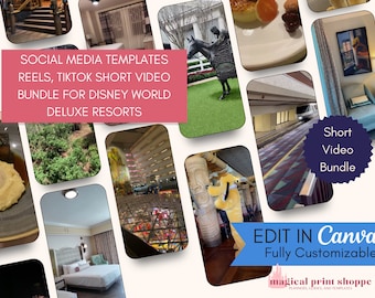 WDW Travel Agent Social Media Bundle | 50+ WDW Deluxe Resort IG Reels & TikTok | Travel Agency Marketing Content