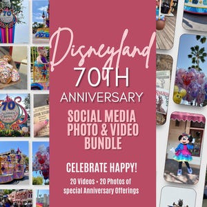 Social Media Video Posts for Travel Agents | DLR California 70 Theme Park IG Reels & TikTok | Travel Agency Marketing Content Bundle