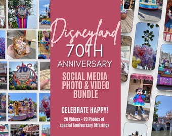 Social Media Video Posts for Travel Agents | DLR California 70 Theme Park IG Reels & TikTok | Travel Agency Marketing Content Bundle