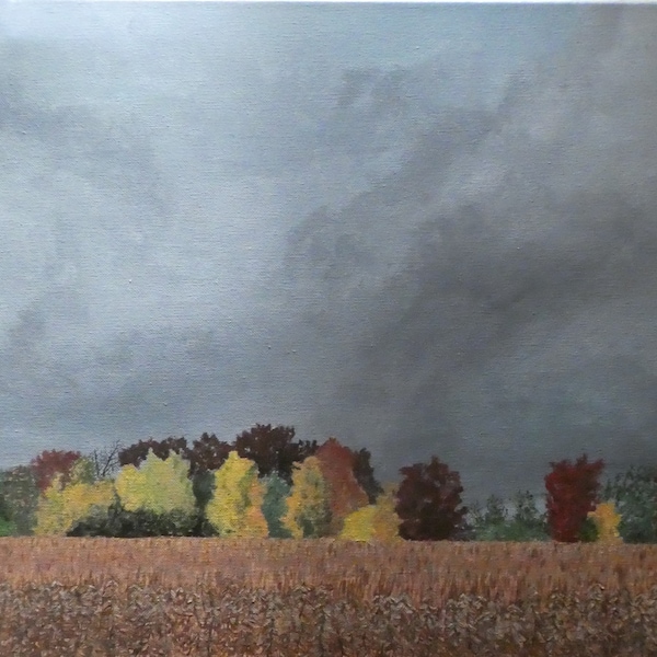 16x20 Inch Original Acrylic Painting - farm field with row of colourful fall trees at edge of field