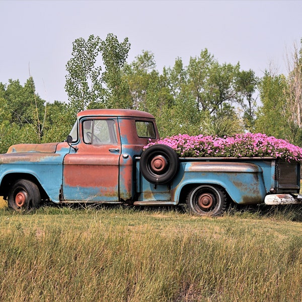 Truck of flowers, Vintage truck, Old truck, Spring flowers, Pink flowers, Auto landscape photography, Digital Download, Weathered