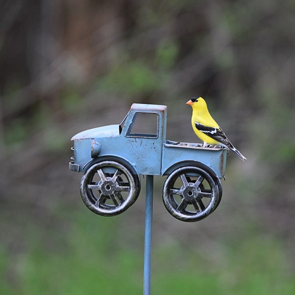 Finch On Feeder, Yellow Finch, American Goldfinch, Bird Photograph, Nature Photography, Wildlife Photography, Digital Download