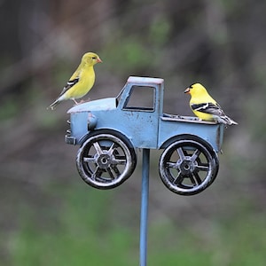 Puede incluir: Dos jilgueros amarillos posados en un camión de juguete azul con ruedas negras. El camión está montado en un poste de metal.