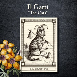 1st Cat Tarot Deck, Seltene Karte, Il Gatti 22 Arcani, von Menegazzi & Meneghello, Vintage 1990 Mailand, Limited Edition, Sammlerstück Katzenkunst