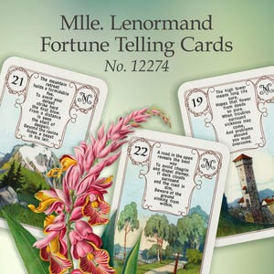 Cartas de adivinación de la señorita Lenormand, Búho Rojo JMC vintage de 1970. N.° 12274, pieza de colección rara, pinturas de la década de 1840, bellas artes, simbolismo, francés.