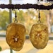 see more listings in the Food earrings section