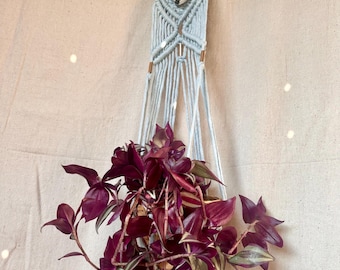 Macrame Plant Hanger, Antler Plant Hanger, Crystal Plant Hanger, Boho Hanging Planter, Deer Antler Wall Decor, Macrame Wall Planter