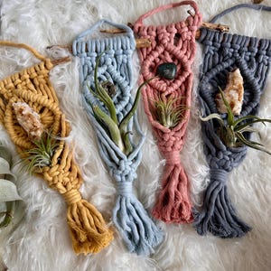Pode incluir: Quatro suportes de plantas de macramé em diferentes cores, amarelo, azul, rosa e cinza, com uma pequena planta em cada um. Cada suporte tem uma vareta de madeira na parte superior e uma borla na parte inferior.