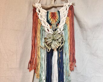 Boho Macrame Wall Hanging with Deer Antler, Crystal & Air Plant Holder, Rainbow Wall Decor, Bohemian Fiber Art, Nature Inspired Wall Art