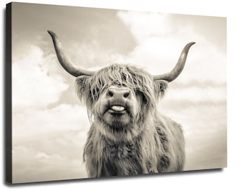 Highland Cow Canvas Photo Print, Cattle Farming Poster Print Animal, Highland Cow Canvas Print For Gift