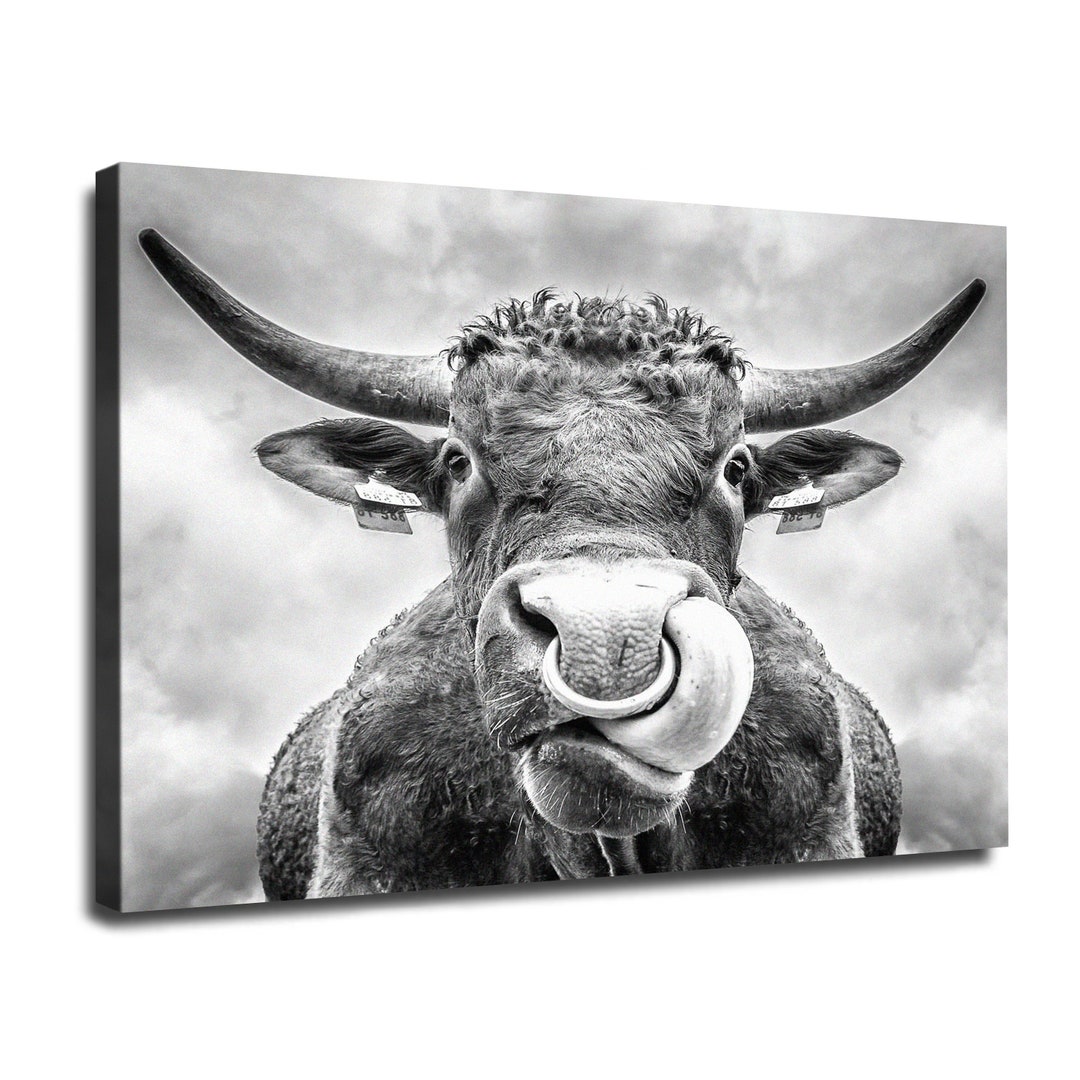 Rustic Style Highland Cow Canvas Photo Print, Black and White Cattle ...