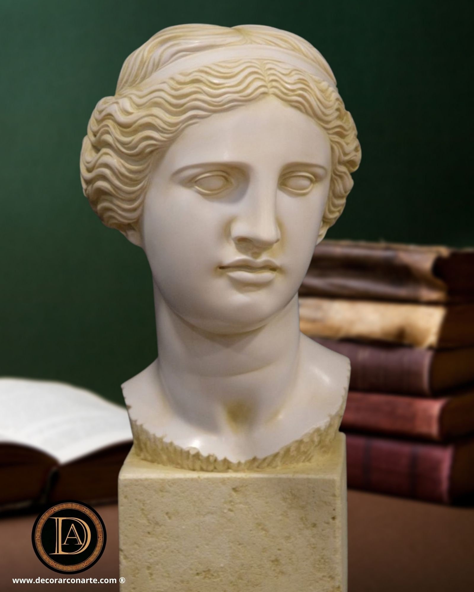 Head of the Venus De Milo. Molded Marble. 35cm. Handmade in Europe