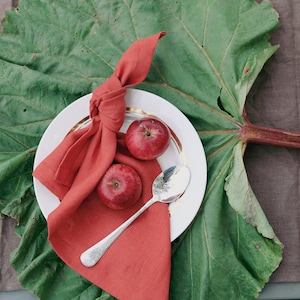 Linen napkins set, Natural linen napkin, Wedding napkins, Washed linen napkins, Soft Dinner Napkins, Christmas Napkins, Dinner linen napkins