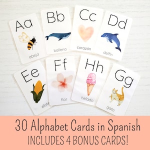 Cartões de memória do alfabeto espanhol laminados para crianças Cartões de memória do alfabeto espanhol Flashcards de letras espanholas Flashcards de alfabeto aquarela laminados