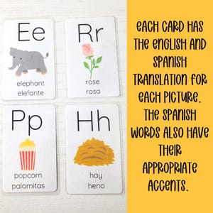 May include: Four flashcards with English and Spanish words and pictures. The cards feature an elephant, a rose, popcorn, and hay. Each card has the letter of the alphabet that the word starts with.
