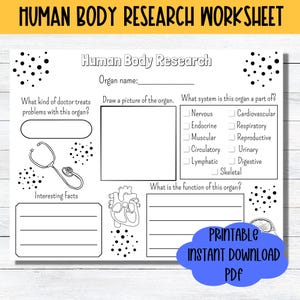 Puede incluir: Hoja de trabajo imprimible en blanco y negro para aprender sobre el cuerpo humano. La hoja de trabajo incluye una sección para dibujar una imagen de un órgano, identificar el sistema de órganos y escribir datos interesantes. La hoja de trabajo también incluye un estetoscopio y un corazón.