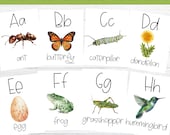 Nature Theme Alphabet Printable Flashcards Homeschool Kindergarten ABC Letter and Picture Watercolor Cards Preschool Outdoor Alphabet Cards