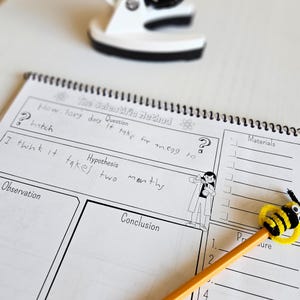 Scientific Method Worksheet Homeschool Science Project Printable ...