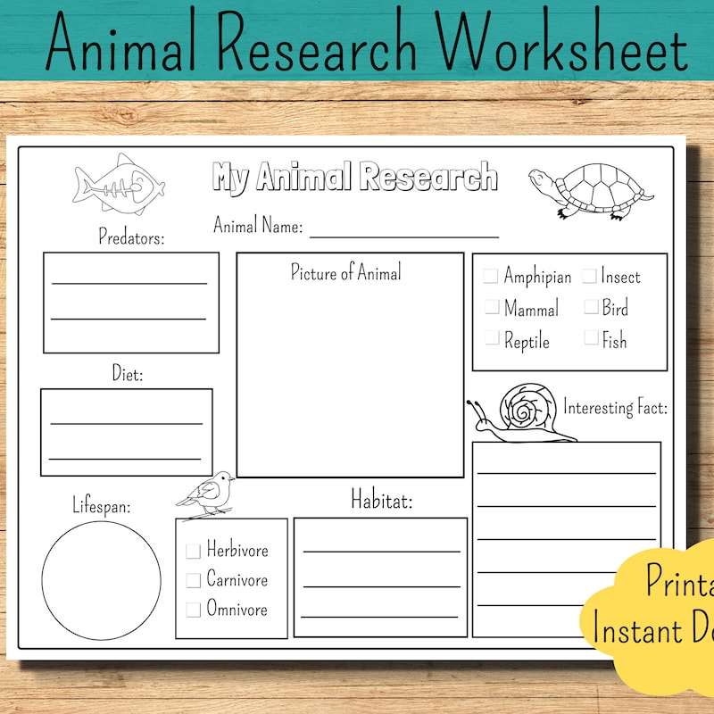 Worksheet Animal - Etsy Israel