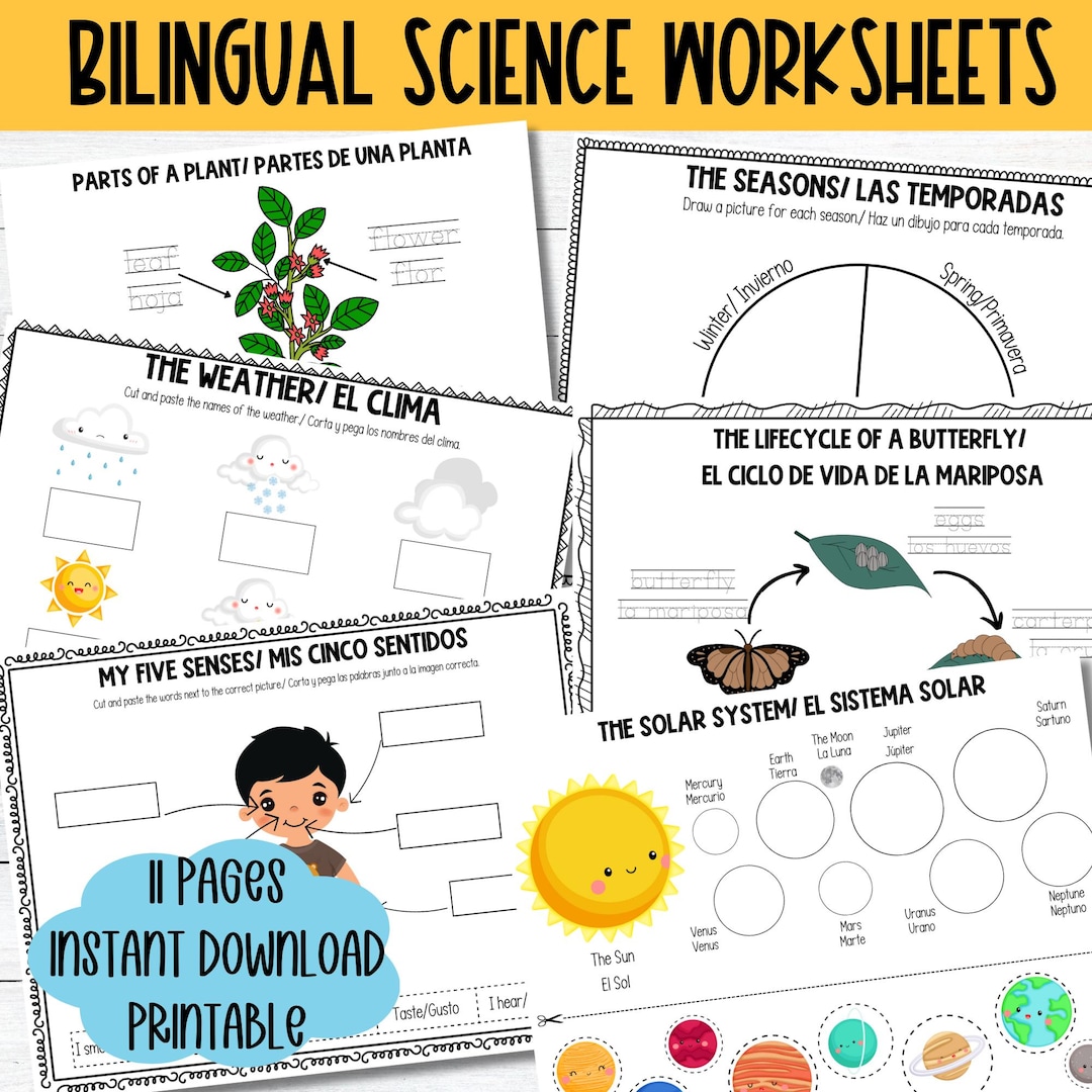Bilingual English Spanish Worksheet Printable Science Activity Pages ...