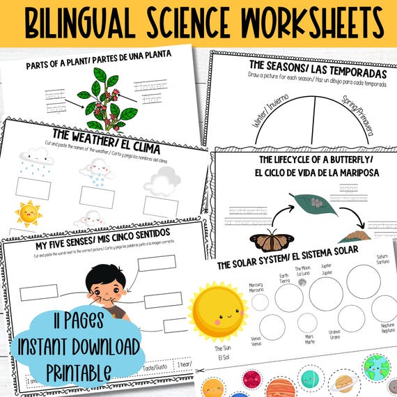 Bilingual English Spanish Worksheet Printable Science Activity Pages Bilingual Homeschool Kindergarten Science Worksheet Frist Grade Spanish