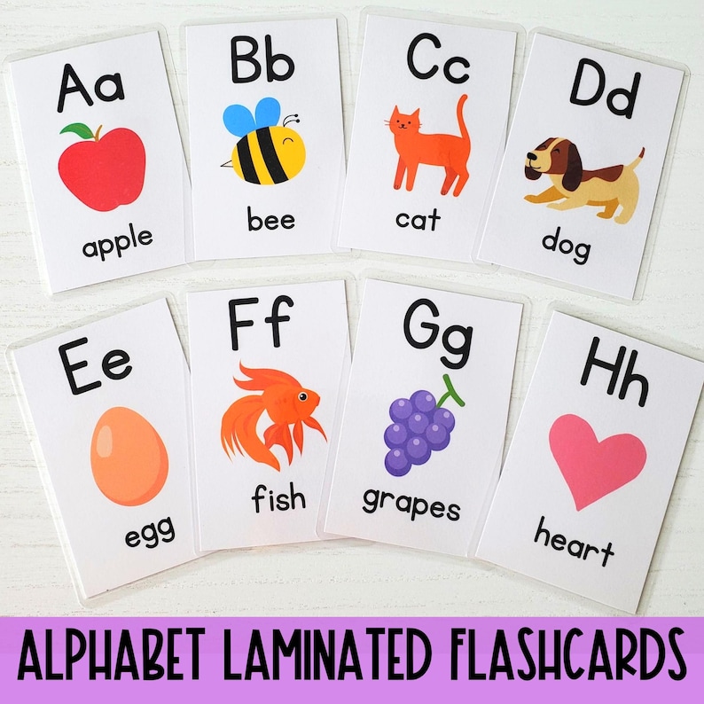 May include: Alphabet flashcards with laminated surfaces. Each card features a letter, a picture, and the word for the picture. The letters are in uppercase and lowercase. The pictures include an apple, bee, cat, dog, egg, fish, grapes, and heart.