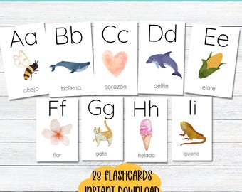 Karta alfabetu hiszpańskiego ABC Hiszpańska karta obrazkowa do wydrukowania Akwarele Alfabet Flashcards Domowa edukacja Przedszkole Hiszpańska aktywność dydaktyczna