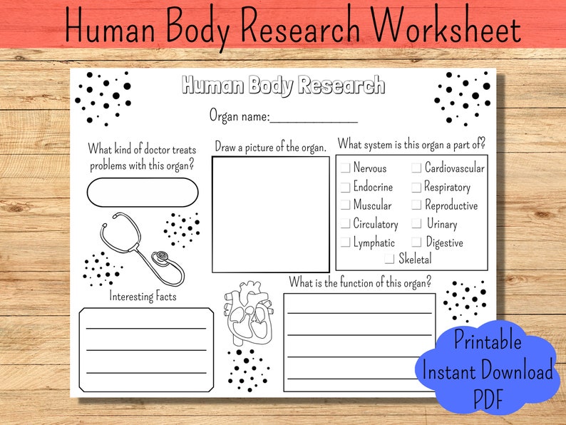Human Body Worksheet Human Body System Research Kids Science Report