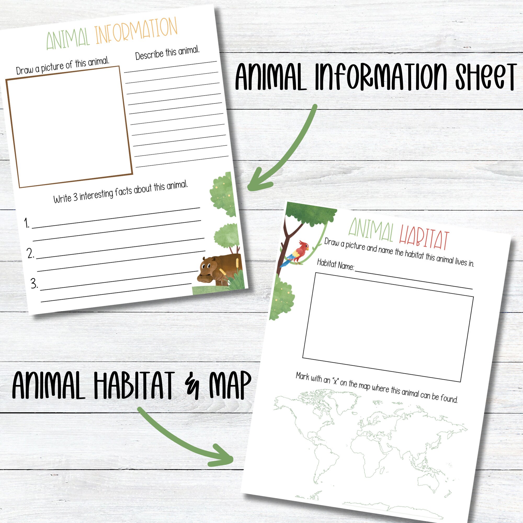 Animal Research Report Project Kid Animal Report Homeschool Science ...