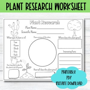以下が含まれることがあります： 植物の研究のための白黒の印刷可能なワークシート。ワークシートには、植物の名前、学名、植物の種類、植物の絵、植物の生育場所、興味深い事実、植物が完全に成長するまでの時間、植物の高さに関するセクションが含まれています。