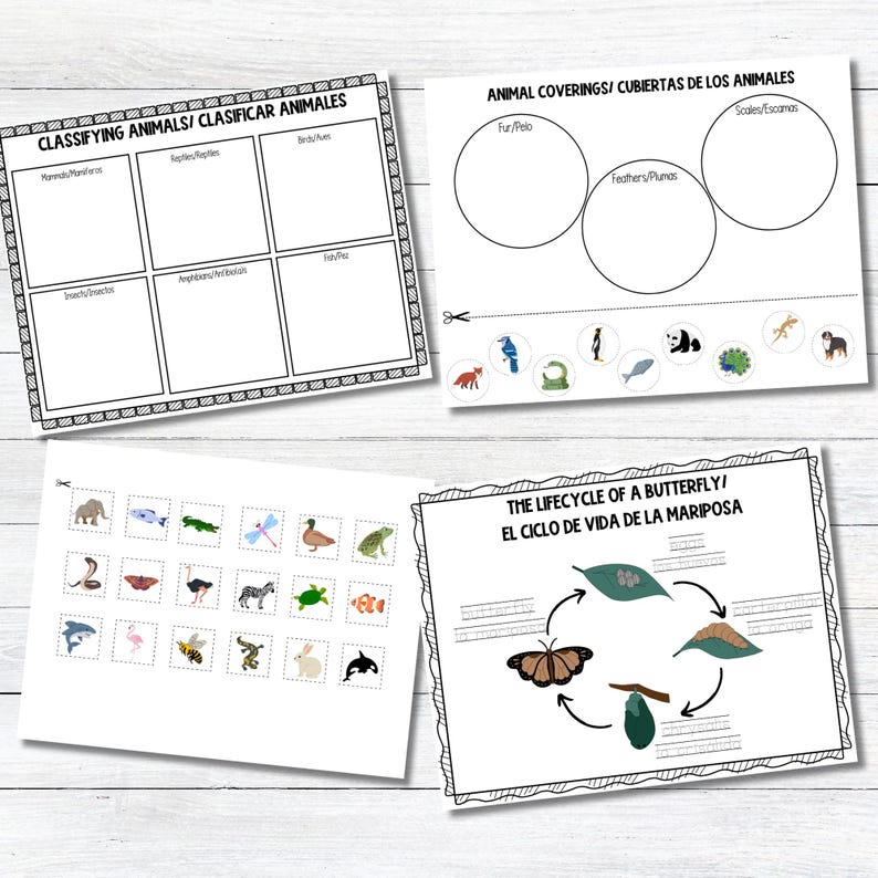 May include: Black and white printable worksheets for classifying animals, animal coverings, and the life cycle of a butterfly. The worksheets include images of various animals, including a butterfly, frog, turtle, zebra, and a panda.