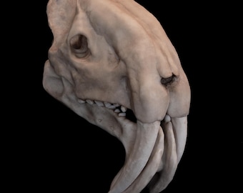 Thylacosmilus Atrox Skull Replica – Handcrafted Saber Tooth Marsupial with Base