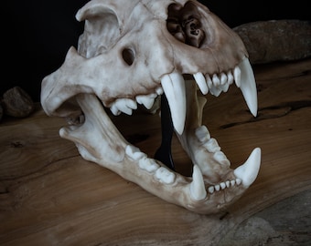 Lion Skull Replica - Life-Size Adult Model, Removable Jaw - FREE World Wide Shipping!