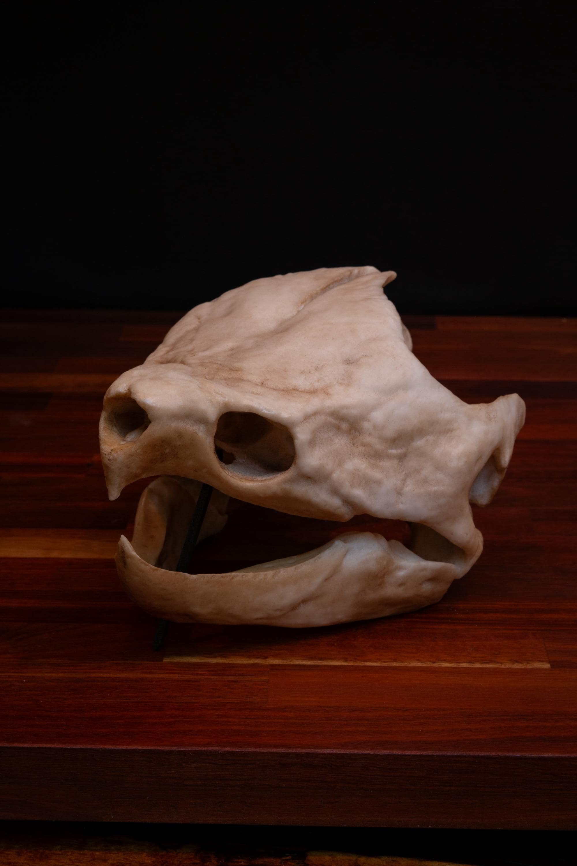 PrimalReplicas - Etsy 日本