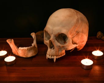 Life Size Vampire Skull Replica – Gothic Dark Fantasy Decor, Resin Display - FREE world wide shipping!.