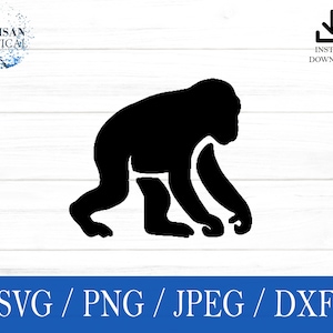 Monkey svg, Animal SVG, Zoo svg, svg, png, dxf, jpeg, digital download, Cut File, Cricut, Silhouette, Glowforge, Gift For Him, Craft