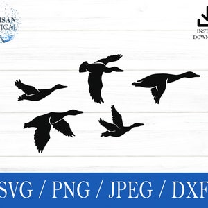 Patos svg, Gansos SVG, Pássaros svg, png, dxf, jpeg, download digital, Arquivo cortado, Cricut, Silhueta, Glowforge, Presente para ele, Artesanato