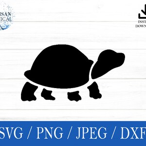Turtle svg, Animal SVG, Zoo svg, svg, png, dxf, jpeg, digital download, Cut File, Cricut, Silhouette, Glowforge, Gift For Him, Craft