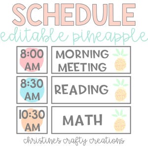 Pineapple Daily Schedule l Editable